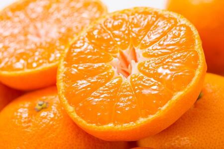 ブランド有田みかん［Ｓサイズ］秀品10kg／産地直送／薄皮で甘い美味しい 和歌山県産／紀伊国屋文左衛門本舗