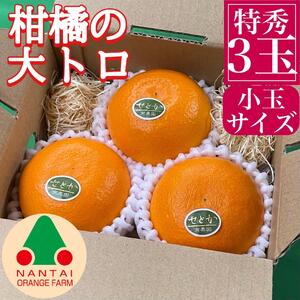 お試し規格 柑橘の大トロ ハウス せとか 厳選 小玉 3玉入 手さげ箱 南泰園 和歌山 有田 高級せとか 小玉 ハウス 温室 化粧箱入り 甘い