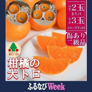 【ふるなびWEEK対象】お試し規格 柑橘の大トロ ハウス せとか ちょっと 傷あり 2玉 または 3玉入 手さげ箱 南泰園 和歌山 有田 FN-Limited-PR