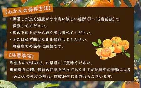 和歌山県産 有田みかん 家庭用 10kg　味重視　みかん・有田みかん・温州みかん・柑橘みかん・和歌山みかん