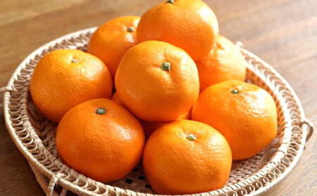 ［秀品］有田のブランドみかん「賢みかん」5kg（サイズおまかせ）［2026年11月中旬頃より順次発送］