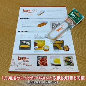 1・4月発送 全2回 定期便 紅はっさく マニア 貯蔵 ＆ 木成完熟 訳あり傷多め L または M 5.5kg 茶箱 和歌山 有田 南泰園