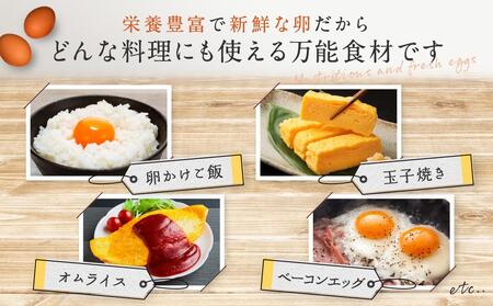 3か月定期便 おいし高原 庭さき卵 Lサイズ 20個入り 【全3回お届け】