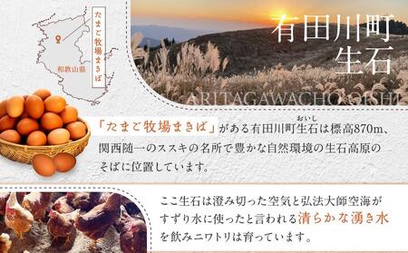 3か月定期便 おいし高原 庭さき卵 Lサイズ 20個入り 【全3回お届け】