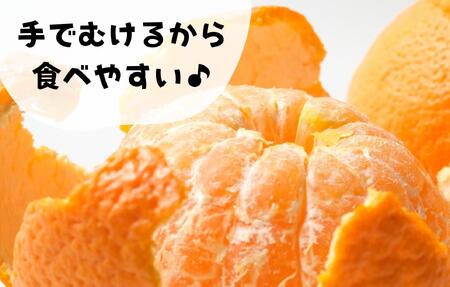 不知火 大玉 どっこいしょ 箱込 10kg (内容量約 9.2kg) 秀優混合 和歌山県産［みかんの会］