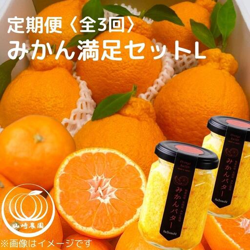 みかん満足セットL | 定期便 全3回 フルーツ みかん 不知火 バター 12月～2月