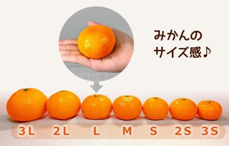 有田みかん 訳あり みかん 約0.9kg  和歌山県産