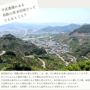 農家直送!有田みかん(2kg 訳あり≪サイズ混合≫) 平武農園 ~蛍飛ぶ町から旬の便り~