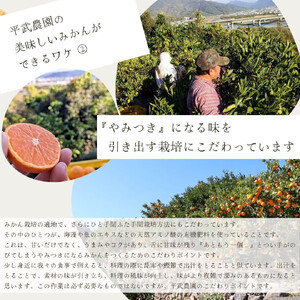 農家直送!有田みかん(2kg Mサイズ 秀品)平武農園 ~蛍飛ぶ町から旬の便り~