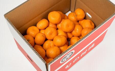 ［ご家庭用訳あり］紀州有田産濃厚完熟温州みかん 約2kg［2026年11月下旬以降発送］［先行予約］