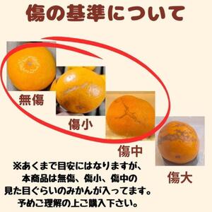有田みかん 早生S~Lサイズ混合 約5kg【2025年発送 先行予約】