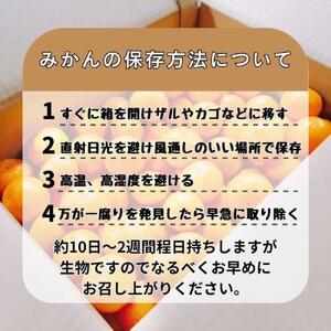 有田みかん 早生S〜Lサイズ混合 約20kg