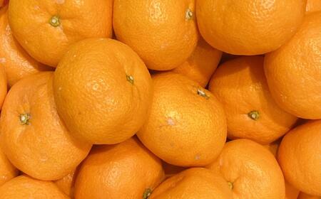 ［秀品］ 和歌山 有田みかん 約10kg 2Lサイズ 2025年11月中旬頃より順次発送