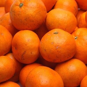 家庭用 完熟有田みかん2.5kg+250g(傷み補償分)