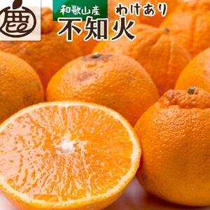 不知火（デコポン）ハウス物 キズ（家庭用）