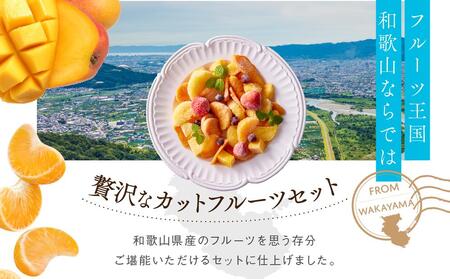 CAS凍結 和歌山県産 季節の カットフルーツ 詰め合わせ 約300g × 3パック 合計約900g