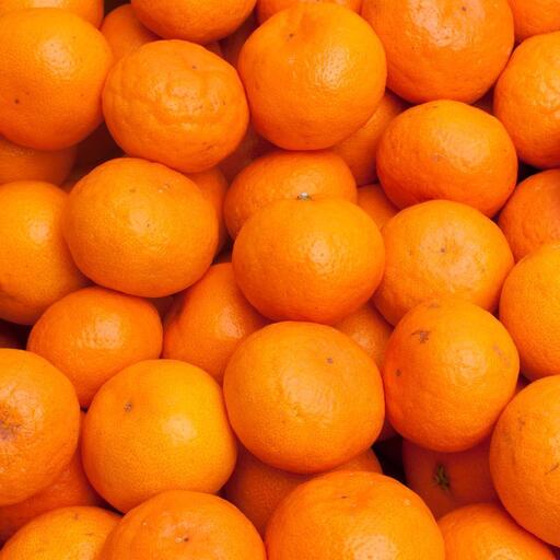 ［先行予約］プレミアム 有田みかん（完熟）10kg+250g（傷み補償分）