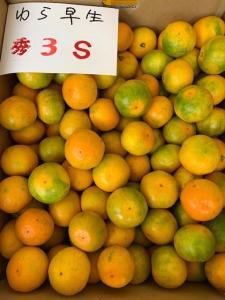 ゆら早生みかん 赤秀品 3Sサイズ 5kg