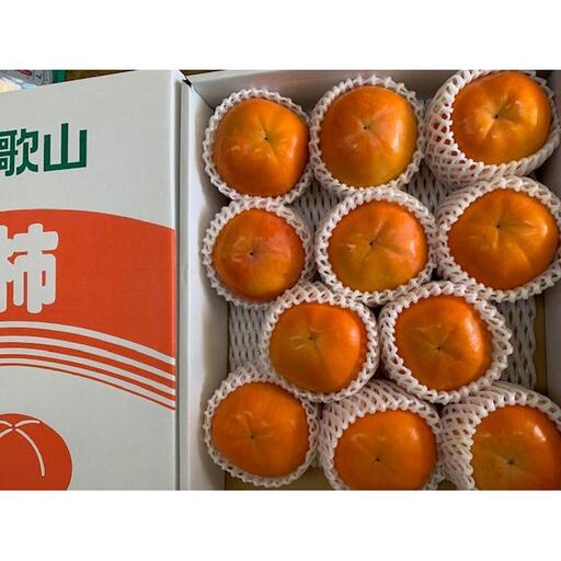 たねなし柿 赤秀品 2Lサイズ 化粧箱（11～12個入）