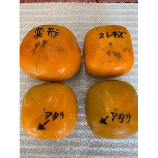 たねなし柿 家庭用 約7kg（サイズミックス）
