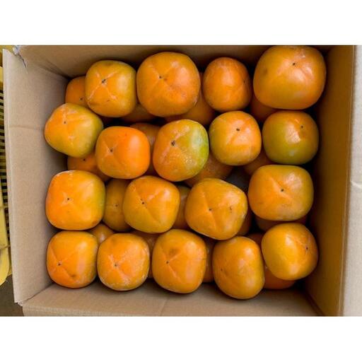 たねなし柿 家庭用 約7kg（サイズミックス）