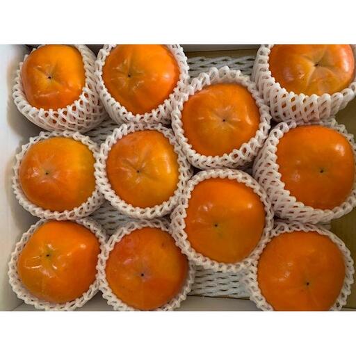 富有柿 赤秀品 2Lサイズ 化粧箱（11個）