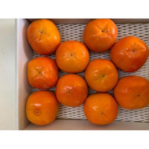 富有柿 赤秀品 3Lサイズ 化粧箱（10個）