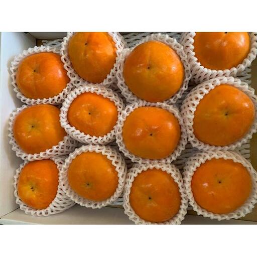 富有柿 赤秀品 Lサイズ 化粧箱(12~13個)