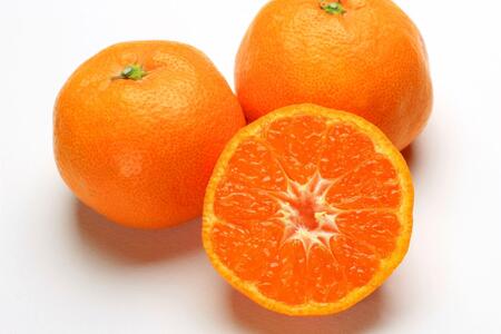 【濃厚・まろやか】有田産樹上越冬完熟みかん約5kg(ご家庭用)★2026年1月下旬頃より順次発送