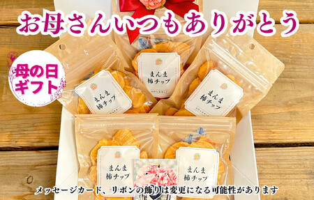 【母の日ギフト】まんま柿チップ 200g (40g × 5袋) ドライフルーツ  和歌山県産 果物使用 国内製造 【みかんの会】