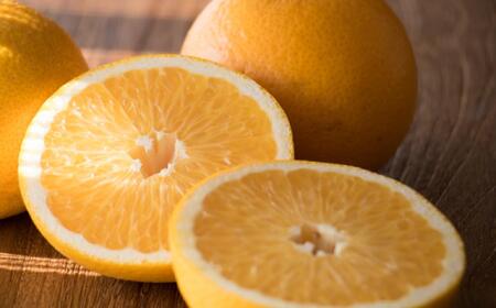 ★2026年3月下旬より発送★ ご家庭用 こだわりの和歌山有田産木成り熟成さつき八朔 約5kg サイズ混合