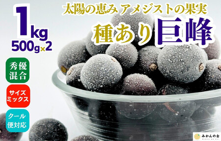冷凍 種あり 巨峰 約1kg 秀優混合 サイズミックス 和歌山県産 産地直送 ぶどう クール便 【みかんの会】 巨峰