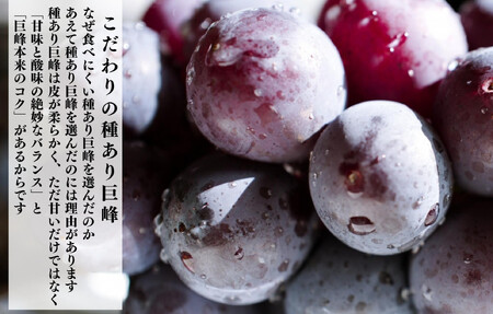 冷凍 種あり 巨峰 約1kg 秀優混合 サイズミックス 和歌山県産 産地直送 ぶどう クール便 【みかんの会】 巨峰
