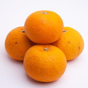 ［先行予約］厳選 甘夏柑1kg+250g（傷み補償分）［初夏のみかん・旬の果物］［有田産］［光センサー食べ頃出荷］