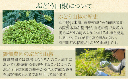 紀州ぶどう山椒【粒】 1袋 (8g) 篠畑農園