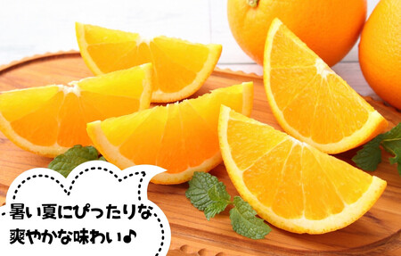 バレンシアオレンジ 国産 玉ぞろい 秀品 箱込 7.5kg (内容量 6.8kg ) 2L L M サイズのいずれか 和歌山県産 産地直送【みかんの会】