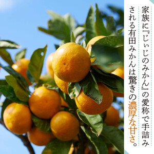 和歌山県有田みかん じぃじのみかん 約5kg