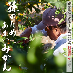 和歌山県有田みかん じぃじのみかん 約5kg