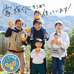 和歌山県有田みかん じぃじのみかん 約5kg