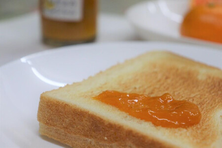 【2026.06発送】数量限定!店主にお任せ 無添加 柑橘ジャム140g×3個