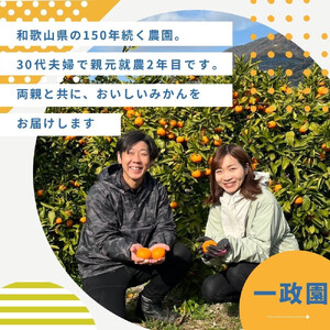 有田みかん 早生 温州みかん 2.7kg（箱込み3kg） 訳あり M～２Lサイズ 混合 柑橘 フルーツ