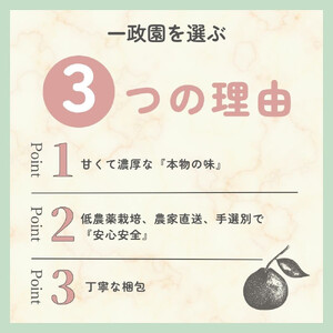 【ふるさと納税】【先行予約】 八朔 4kg 家庭用 サイズ混合 柑橘 フルーツ はっさく 産地直送 お取り寄せ 送料無料