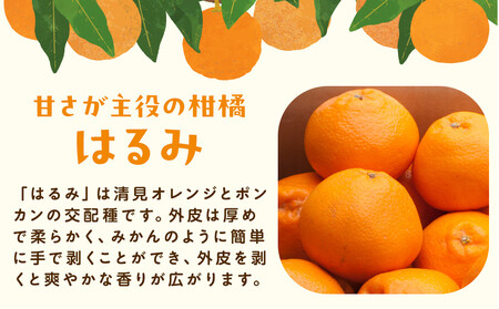 ［先行予約］厳選 はるみ10kg+250g（傷み補償分）［デコポンの姉妹品種・新食感春みかん］
