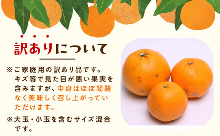 ［先行予約］家庭用 はるみ10kg+250g（傷み補償分）［デコポンの姉妹品種・新食感春みかん］［わけあり・訳あり］