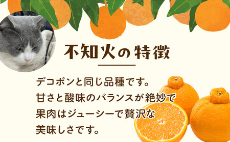 ［先行予約］厳選 不知火10kg+250g（傷み補償分）［デコポンと同品種・人気の春みかん］