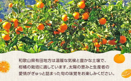 はっさく 八朔 約4kg 大小サイズ 混合 ご家庭用