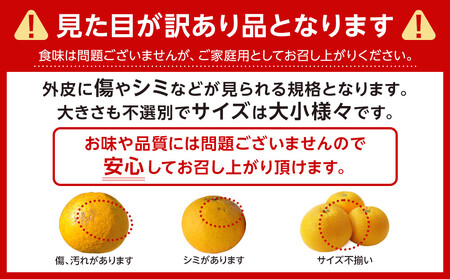 はっさく 八朔 約4kg 大小サイズ 混合 ご家庭用