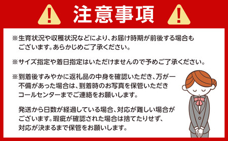 はっさく 八朔 約4kg 大小サイズ 混合 ご家庭用