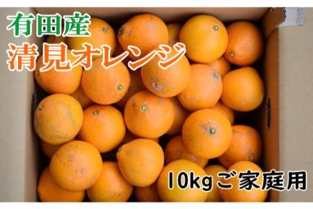 [産直] 有田産 清見オレンジ 10kg (M～3Lサイズおまかせ)ご家庭用 [0279]