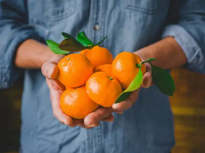 手が止まらない 訳あり 有田みかん 約3kg 大きさ無選別(2S〜3L) 糖度11度以上 鳴川農園